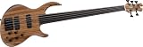 Tobias Signature 5-String Bass
