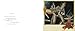 Hannah Höch: Picture Book