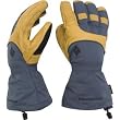 Black Diamond Prodigy Glove - Men's