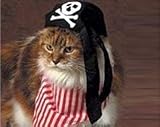 Pirate Kitty Cat Costume with Striped Scarf