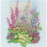 Outdoor Living : A Seed Mixture for Shaded and Semi-Shaded Areas (1 Pkt - 450 seeds)