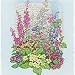 SUTTONS SEEDS: A Seed Mixture for Shaded and Semi-Shaded Areas (450 seeds)