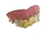 Pirates of the Caribbean: Dead Men Tell No Tales Costume Teeth