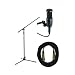 Audio Technica AT2020 Condenser Microphone (Package with Stand and Cable)