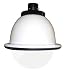 Canon IPC1-P Indoor Pendant-mount Clear Dome