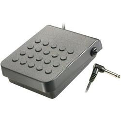Childrens Toyshop  Musical Instruments : Casio SP-3R Sustain Pedal for Casio Keyboards