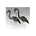 Skel-a-flamingos - Set of Two