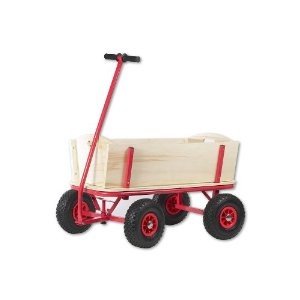 The Toy Company 16658 - Outdoor Bollerwagen