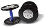 Hampton Satellite Series Dumbbells with Blue Grip - 15-40 Pounds in 5 Pound Increments