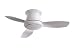 317fdNO9X6L. SL75  The Major Advantage of Lowes Ceiling Fan Over Their Competitors