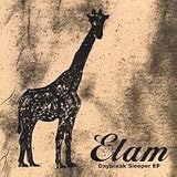 Elam - Daybreak Sleeper