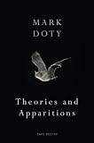 Theories and Apparitions