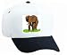 White Cap with africa, trunk, walking, elephant, grass