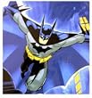 Warner Bros Batman Royal Plush Raschel Throw - Batman Twin Plush Blanket