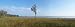 Panoramic Wall Decals - Lake Louisa Sp West United States (4 foot wide Removable Graphic)