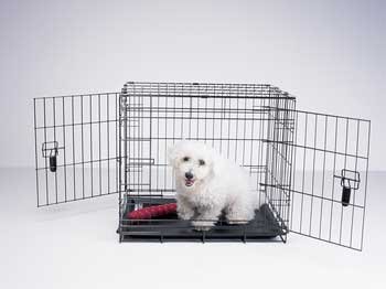 Four Paws Training Crate 42x26x28