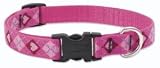 Lupine Medium Dog Collar - Puppy Love 12-20