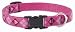 Lupine Medium Dog Collar - Puppy Love 12-20