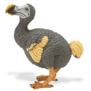 Safari: Dodo Bird
