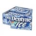 Dentyne Ice Peppermint Gum