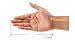 Finger Orthotics Points Fingerboard Stroke Hemiplegia Rehabilitation Training Equipment (L, right hand)
