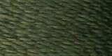 Dual Duty Plus Quilting Thread 325yds Bronze Grn 317iRrGqKYL. SL160 Dual Duty Plus Quilting Thread 325yds Bronze Grn