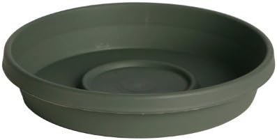 TERRATRAY THYME GREEN10" (Pkg of 11)