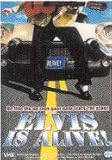 Elvis is Alive - I swear i saw him eating ding dongs outside the piggly wiggly`s [ 1998 ]