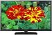 SONY TVs