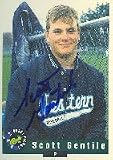 Scott Gentile, Western Connecticut - Expos Affilitate, 1992 Classic Draft Pick Autographed Card