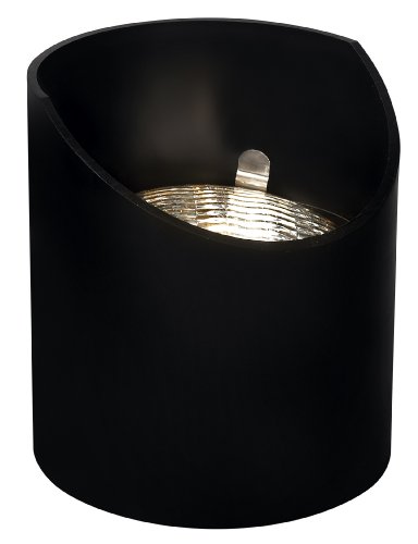 Hinkley Lighting 1559BK Reversible PAR 36 35 Watt Maximum Well Light, Black 317jfI73RwL Hinkley Lighting 1559BK Reversible PAR 36 35 Watt Maximum Well Light, Black