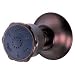 Danze D460160RB Two Function Wall Mount Body Spray, Oil Rubbed Bronze