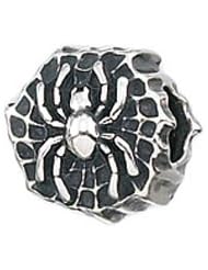 CleverEve Designer Series Spider in Web Halloween Occasions Sterling Silver Charm