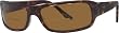 Scojo Tropic Polarized Sunreaders - Tortoise