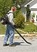 Homlite the Backpacker backpack Blower ZR08111