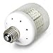Clear Panel Light Bulb, 150 LEDs, White