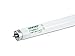25 Case Howard F32T8/830/HL/ECO/IC 32W 4-Foot T8 Medium Bi-Pin Fluorescent Lamp