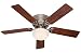 Tools & Hardware : Hunter 20801 Low Profile lll Plus 52-Inch Ceiling Fan with 5-Cherry/Walnut Blades, Antique Pewter