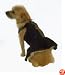 Black Velour Dog Holiday Party Dress Size XXS