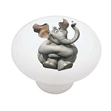 Dr Seuss Horton Hears a Who Cannonball Decorative High Gloss Ceramic Drawer Knob