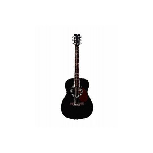 セピアクルー Sepia Crue　　アコースティックギター BK　F200