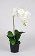 Artificial 25" Single Stem Phalaenopsis Orchid
