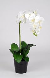 Artificial 25" Single Stem Phalaenopsis Orchid