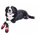 Muttluks Red Fleece Lined Dog Boots, XX-Small