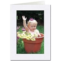 SIMPLICITY INDIGO ICE Photo Insert Card sold in 10s
