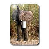 Wild animals - Elephant - Light Switch Covers - single toggle switch