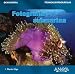 Fotografia Submarina / Underwater Photography: Tecnicas Fotograficas / Digital and Traditional Techniques (Ocio Digital / Leisure Digital) (Spanish Edition)