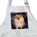 Dogs Pomeranian - Pomeranian Dog - Aprons