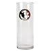 Florida State Seminoles NCAA 9 Flower Vase - Primary Logo by Great American Products