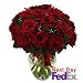 Roses - Romeo and Juliet